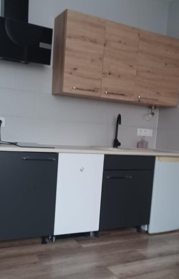 Świeradów-Zdrój Apartamenty W Starym Kinie מראה חיצוני תמונה